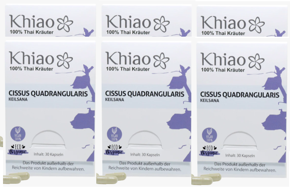 Cissus Quadrangularis Keilsana - Gelenkkapseln für Knochen Khiao