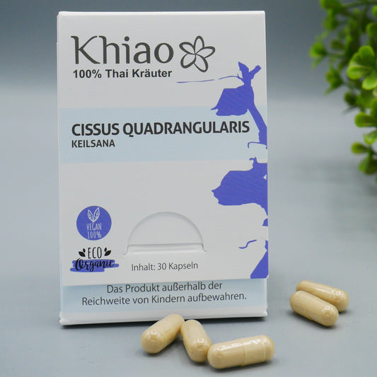 Cissus Quadrangularis Keilsana - Gelenkkapseln für Knochen Khiao