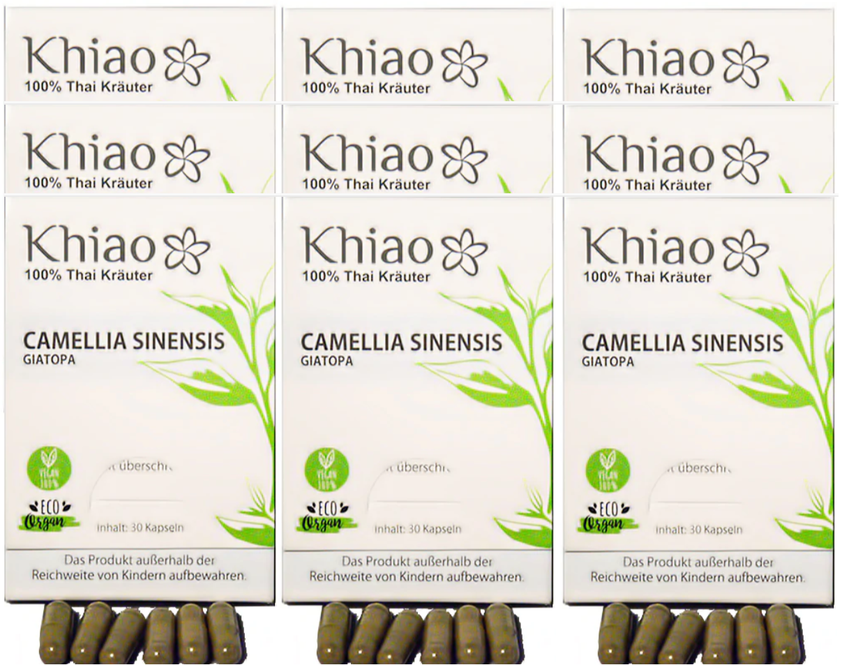 Camellia Sinensis Giatopa - Energie aus grünem Tee Khiao