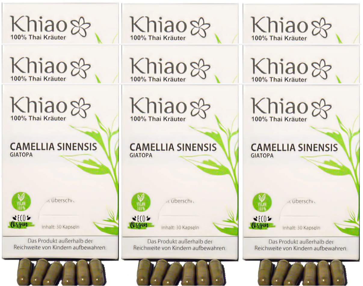 Camellia Sinensis Giatopa - Energy from green tea